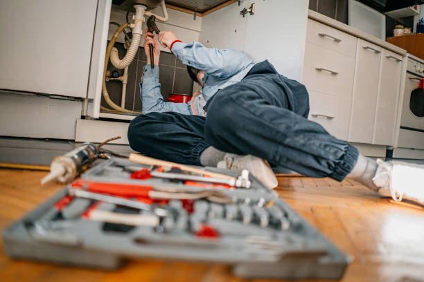 Best Water Leak Repair  in Chelsea, MI