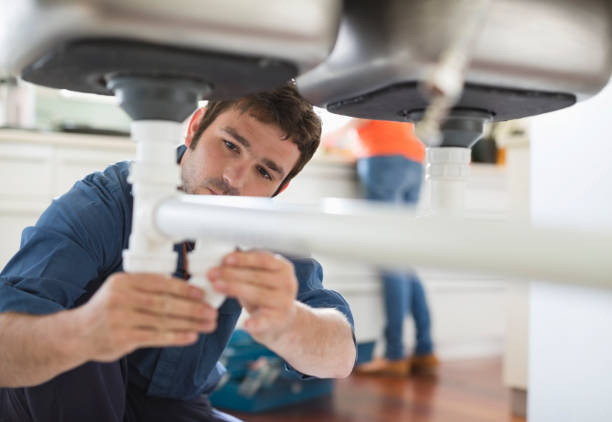 Best Local Plumber Services  in Chelsea, MI
