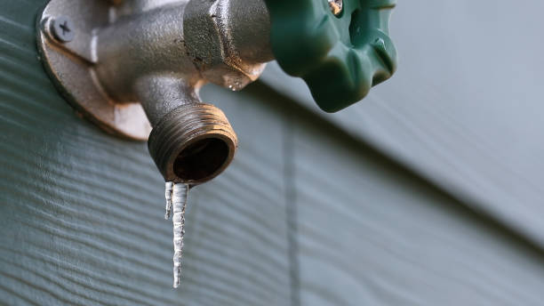 Best Septic Systems  in Chelsea, MI