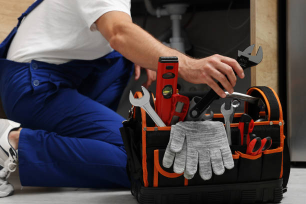 Best Affordable Plumbing Services  in Chelsea, MI