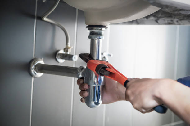 Best Leak Detection Services  in Chelsea, MI