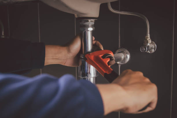 Best Commercial Plumbing Services  in Chelsea, MI